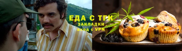 спиды Богородицк