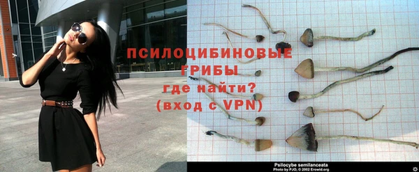 молекула духа Богородск