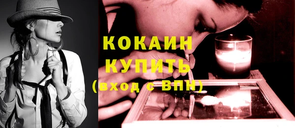 спиды Богородицк